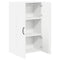 vidaXL Kitchen Wall Cabinet High Gloss White 60 x 31 x 100 cm