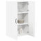 vidaXL Kitchen Wall Cabinet High Gloss White 60 x 31 x 100 cm