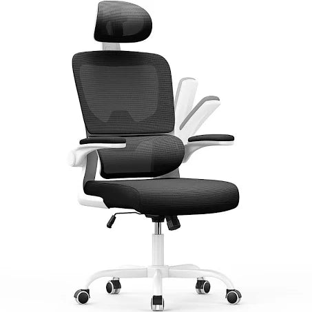 naspaluro Office Chair, Ergonomic Office Chair with Lumbar Support, High Back ...