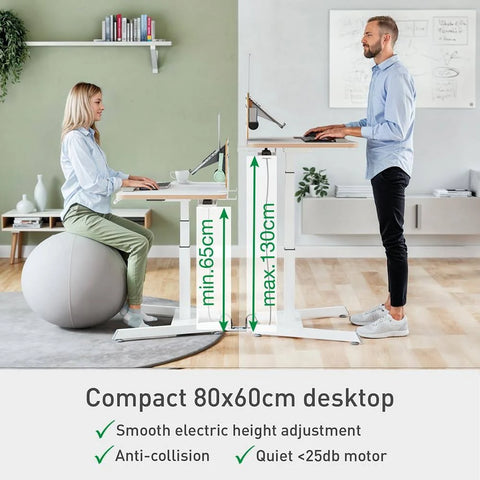 Leitz Ergo Small Electric Sit Standing Desk with Stand-Up Reminder