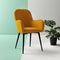 Velvet Armchair Hashtag Home Upholstery Colour: Mustard Yellow Velvet