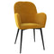 Velvet Armchair Hashtag Home Upholstery Colour: Mustard Yellow Velvet