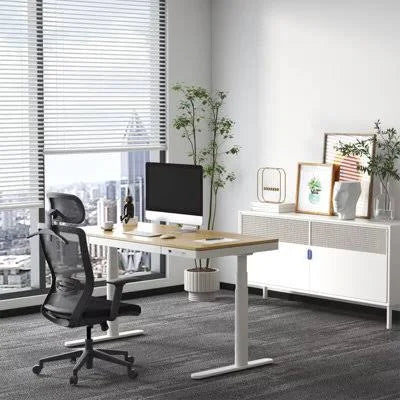 Flexispot Ergonomic Resilient Swivel Office Chair-Black