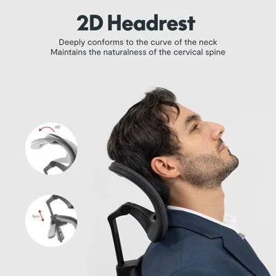 Flexispot Ergonomic Resilient Swivel Office Chair-Black