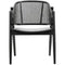 Nordal Wicky Lounge Chair - Black