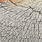 Terra Nova Wood Rug