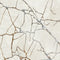 Creation G2848 Ivory Gold Abstract Rug