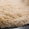 Safavieh Venice Shag Rug