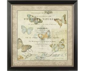 Clanbay Framed Butterfly 2 Wall Art