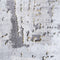 Williston Forge Grey/Gold Rectangle Rug