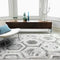 Asiatic Aurora AU12 Crystal Rug