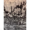 Asiatic Nova Distress Grey NV03 Rug