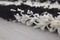 Bravich RugMasters Zebra Pattern Geometric Stripes Design Mix Super Soft High Deep Pile Luxury