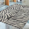 Asiatic Nova Zebra Grey Rug
