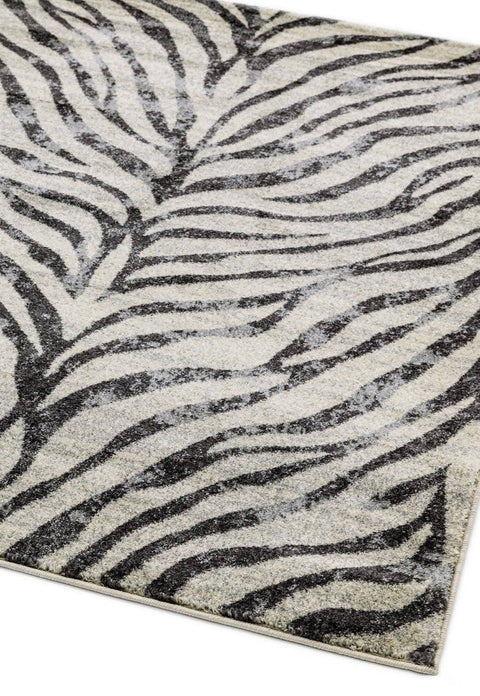 Asiatic Nova Zebra Grey Rug