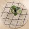 Dutch Lifestyle Berlin Round Area Rug
