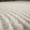 Paco Home Rug