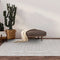 Asiatic Salta Rug Brown Links SA04