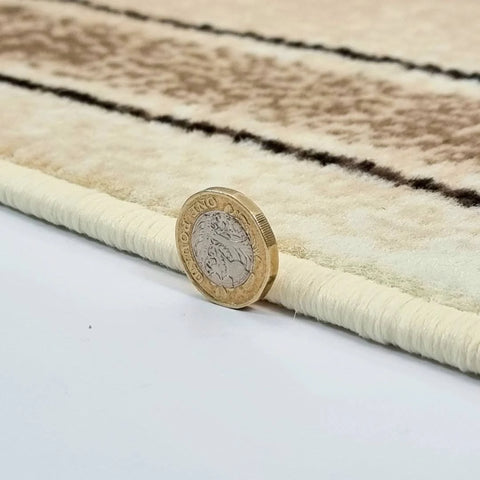 Williston Forge Beige/Brown Polypropylene Rug