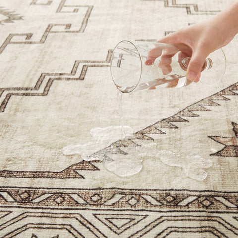 Hafaa Machine Washable Rugs