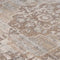 Neutral Beige Traditional Medallion Area Rug