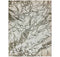 Asiatic Aurora AU09 Satin Rug