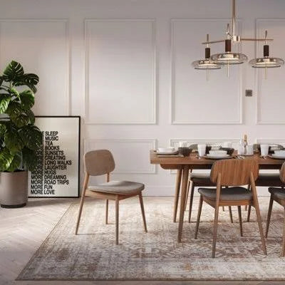 Neutral Beige Bordered Geometric Distressed Area Rug