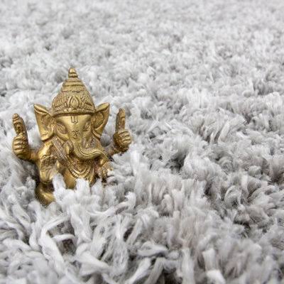 Silver Grey Thick Soft Shaggy Area Rug