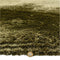 Asiatic Plush Rug