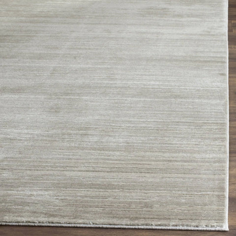 SAFAVIEH Metro-Mod Rug for Living Room Dining Room Bedroom