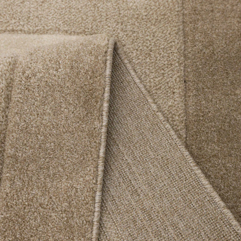 Homemaker Daytona Border Rug