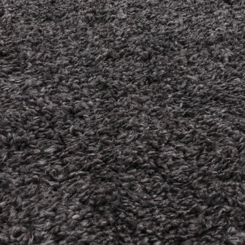 Asiatic Ritchie Rug