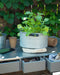 Esschert Design Garden Work Bench