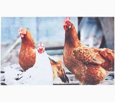 Homescapes Chicken Printed Doormat