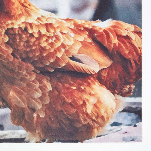 Homescapes Chicken Printed Doormat