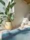 Louis De Poortere Lagoon Rug