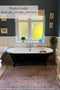 Naken Interiors Asiatic Kaya Rug Esfir KY09