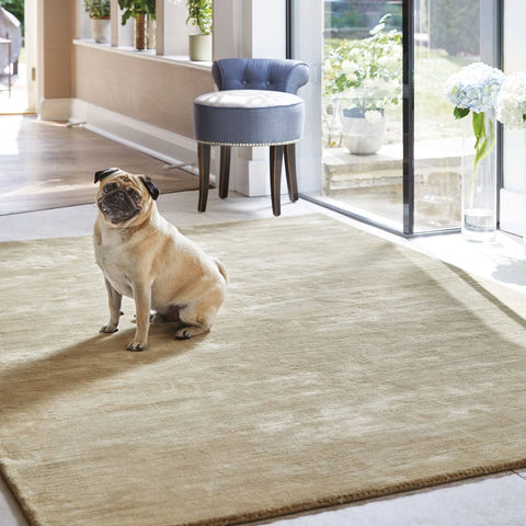 Rug Guru Orient Oyster Rug