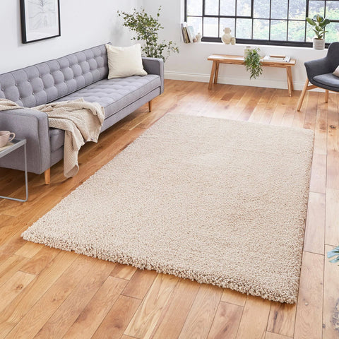 Roswell Stain Resistant Shaggy Rug