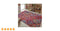 Concept Looms Carnaval CAR105 Rug
