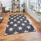 Santa Monica 48648 Rug