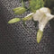 Rug Guru Fusion Dove Grey 160 x 230cm Rug