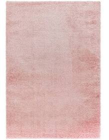 Asiatic Payton Rug