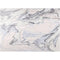 Rose Ivy Bronx Marble Pattern Area Rugs