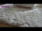 Asiatic Plush Shaggy Rug