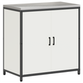 vidaXL with Shelf with Storage with Door Adjustable 2 pcs White Cold-rolled steel