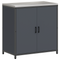 vidaXL with Shelf with Storage with Door Adjustable 2 pcs Anthracite Cold-rolled steel