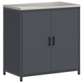 vidaXL with Shelf Other with Storage with Door 3 pcs Anthracite Cold-rolled steel
