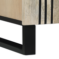 vidaXL Media Storage Cabinets & Racks with Shelf with Storage with Door