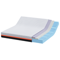 vidaXL Mattresses White and Grey 200 x 200 cm